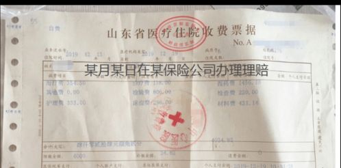 人保壽險(xiǎn)全方位服務(wù)指南 保單查詢(xún)、驗(yàn)真、發(fā)票與理賠