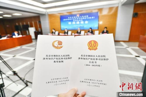北京朝陽法院發(fā)布涉外知識產(chǎn)權(quán)民事司法保護(hù)白皮書 提升服務(wù)能力，優(yōu)化營商環(huán)境
