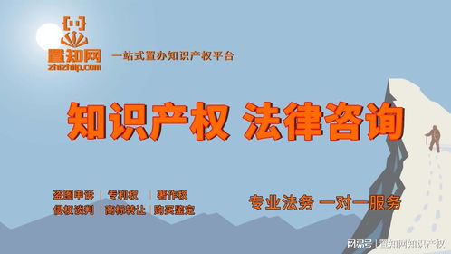 知識產(chǎn)權(quán)全解析 分類標(biāo)準(zhǔn)與五大核心類型詳述